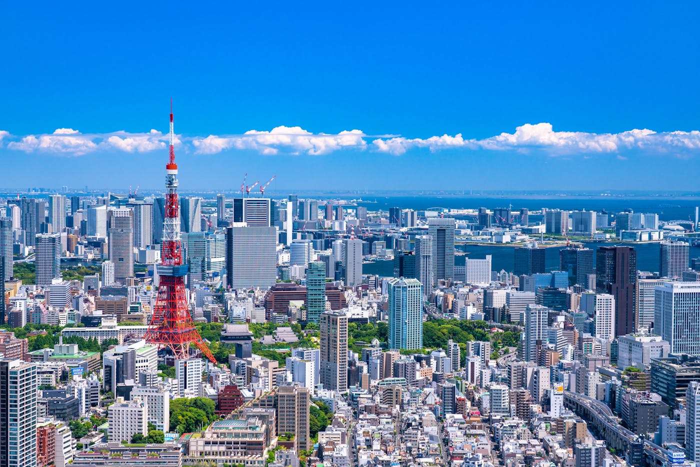 福生市の保育園情報 Hoicil ホイシル 福生市の保育園情報 Hoicil ホイシル